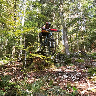 Les Navettes du Bike Park