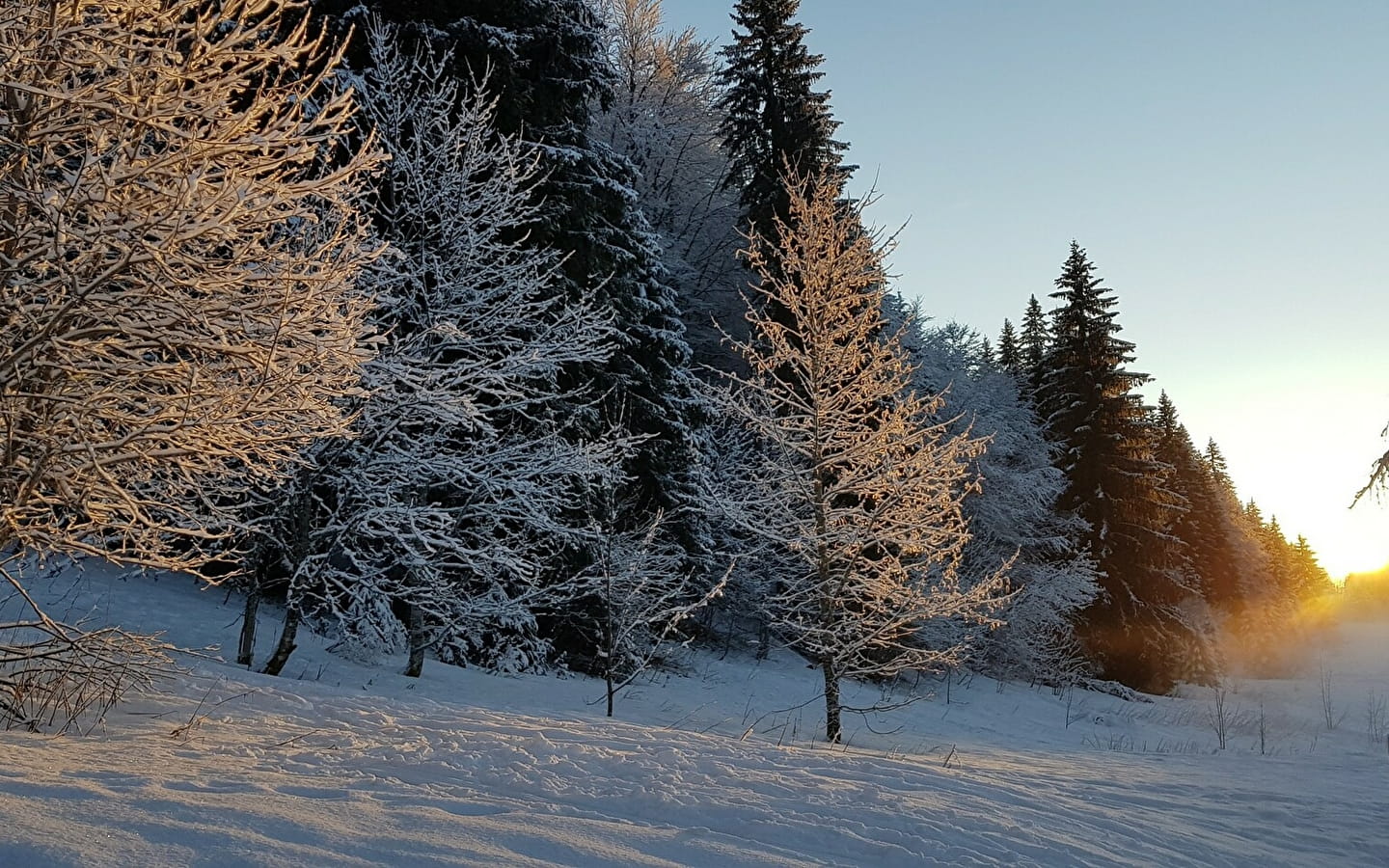 The Grande traversée du Jura on cross-country skis - GTJ on cross-country skis