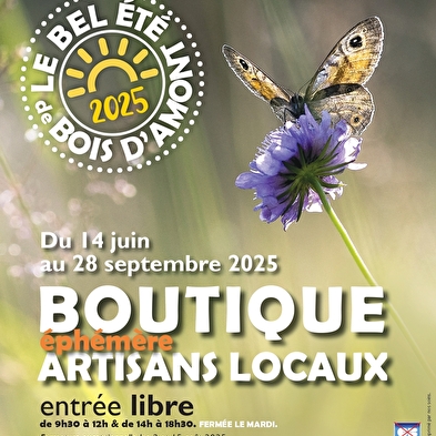 Workshops 'The beautiful summer of Bois d'Amont