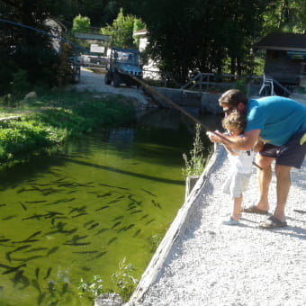 Pisciculture Les Truites des Rivières - HAUTS DE BIENNE