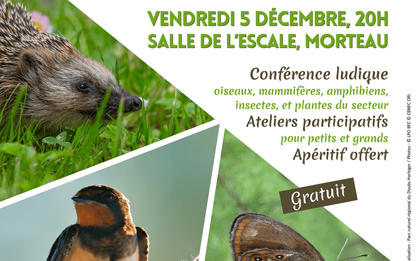 Evening to discover the flora and fauna of the Val de Morteau: Doubs Horloger Biodiversity Atlas