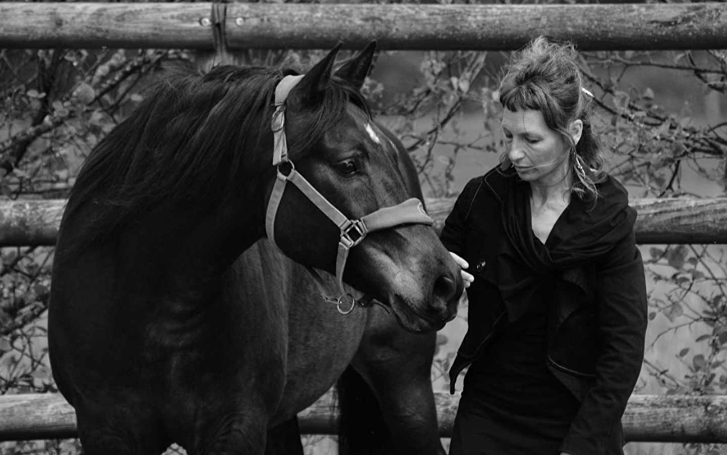 A TRIP TO HORSE COUNTRY
