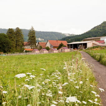 La Ferme des Mélincols - MARNOZ