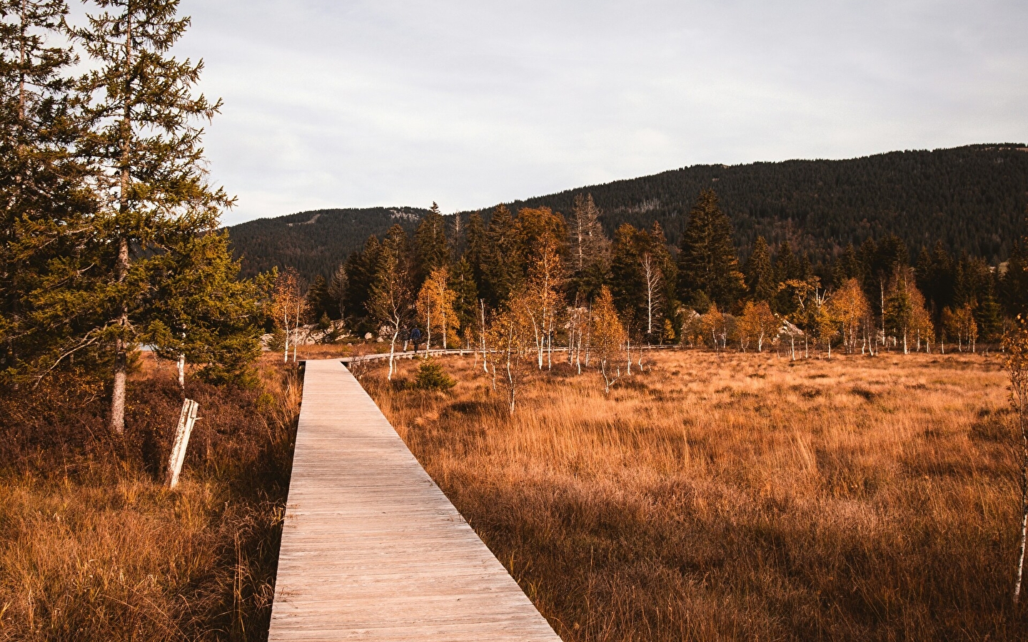 Autumn Walking/Well-being Stay