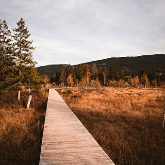 Autumn Walking/Well-being Stay - 