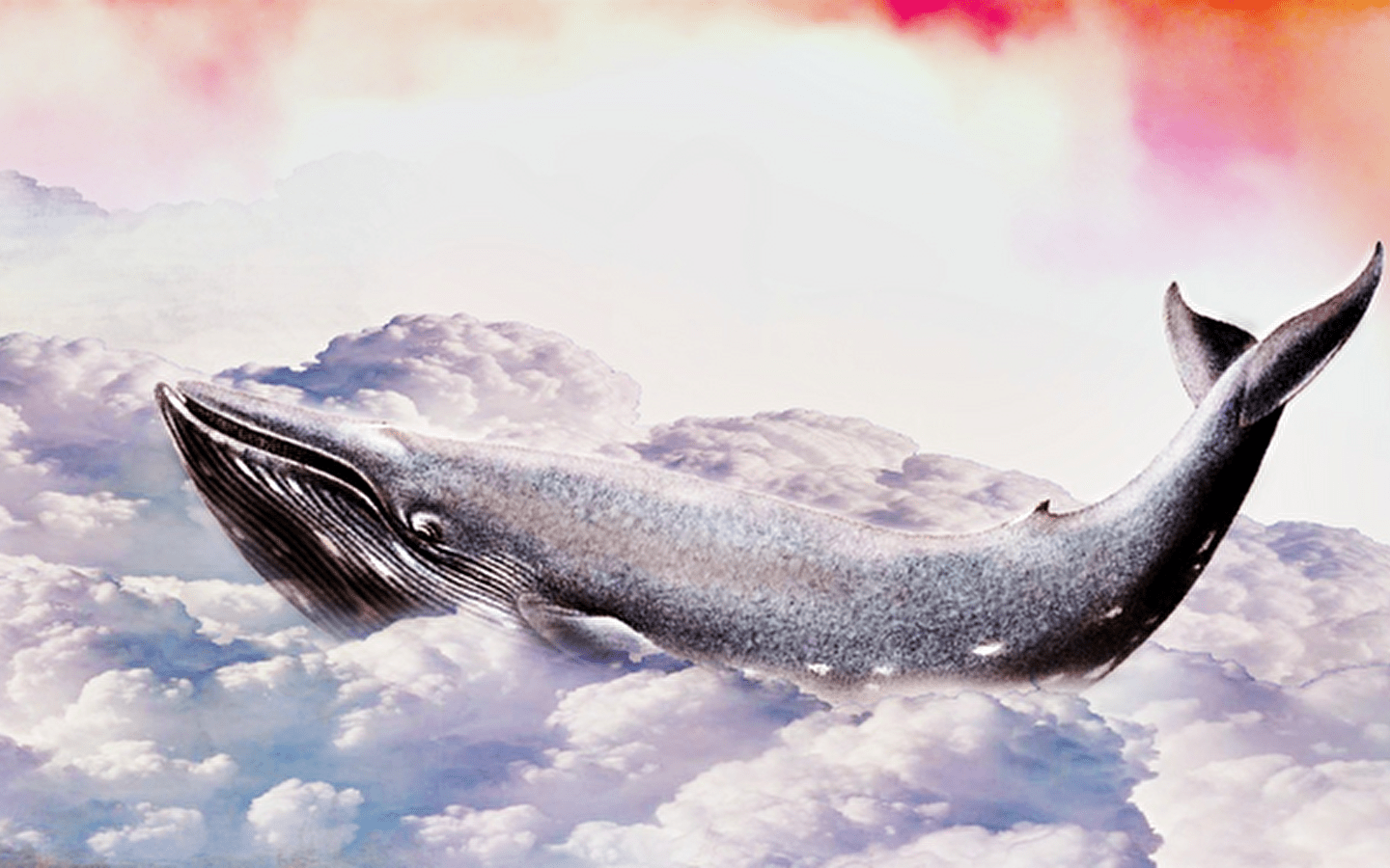 Des baleines dans le Léman et autres manifestations poétiques