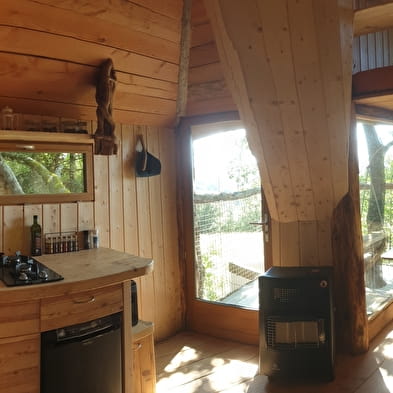 Cabane perchée dans les arbres 'la Lazine'