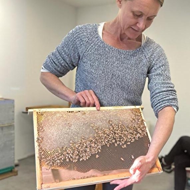 Instants découvertes - Vie de l'Abeille, travail de l'apiculteur