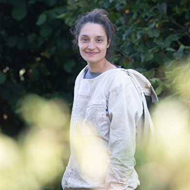 Rucher Tilia - vente de miel