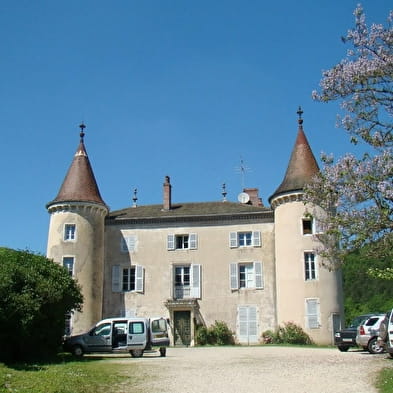 Château de Rosy