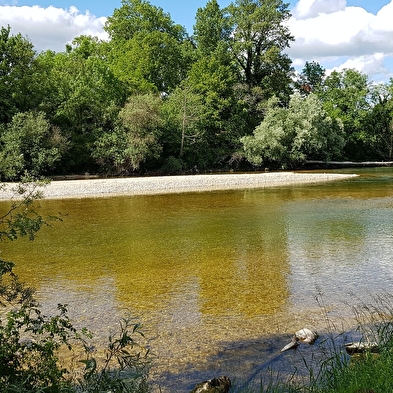 The Doulou Trail