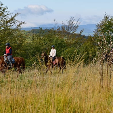 Balade à cheval à la Ferme équestre de Lavant