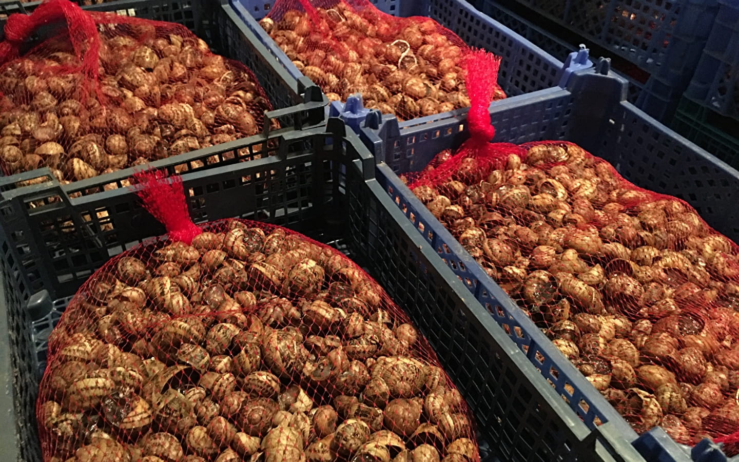Visit and tasting on the Route des Savoir-faire: Maison Jacot Billey