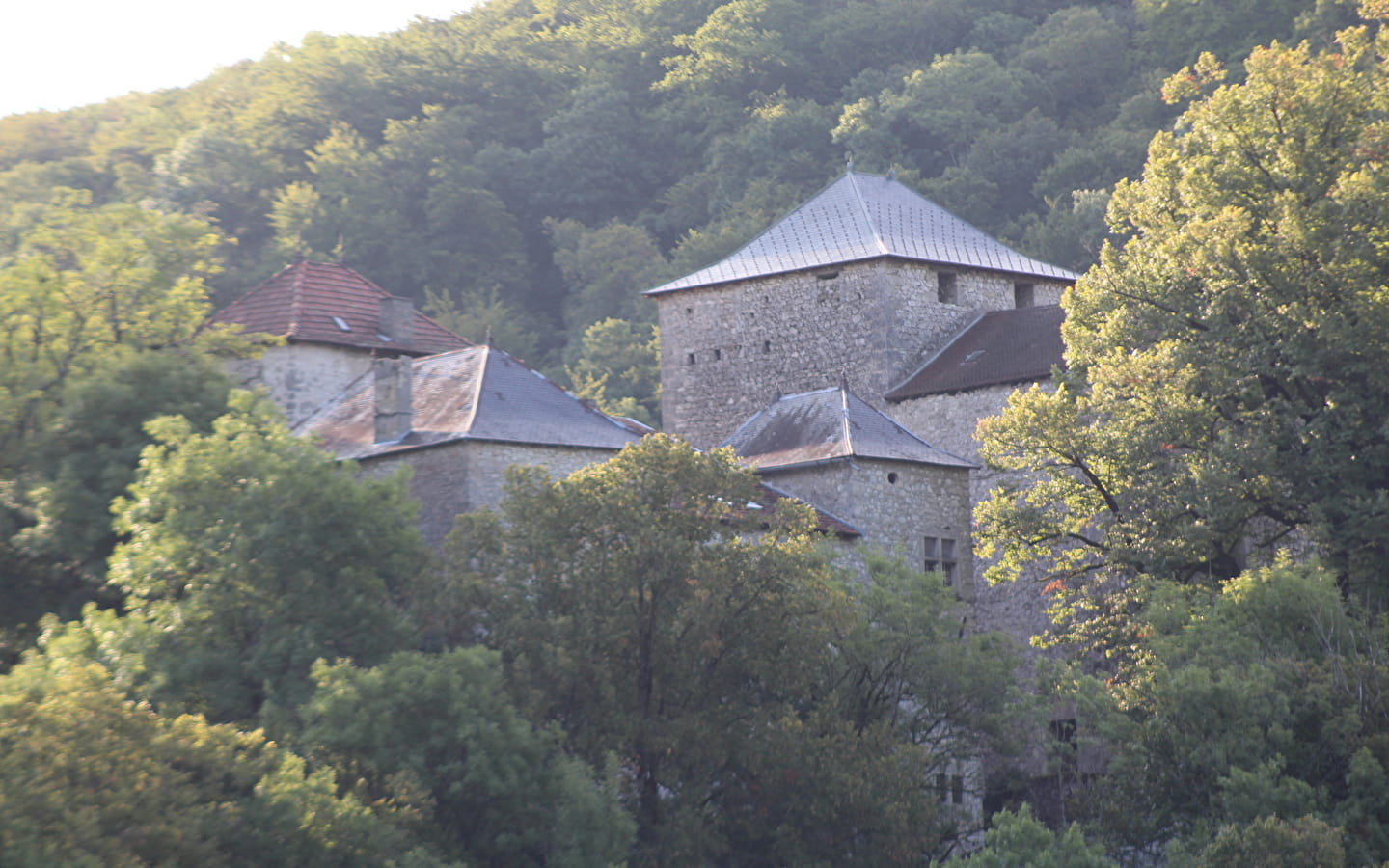 Visite des extérieurs du château de Serraz