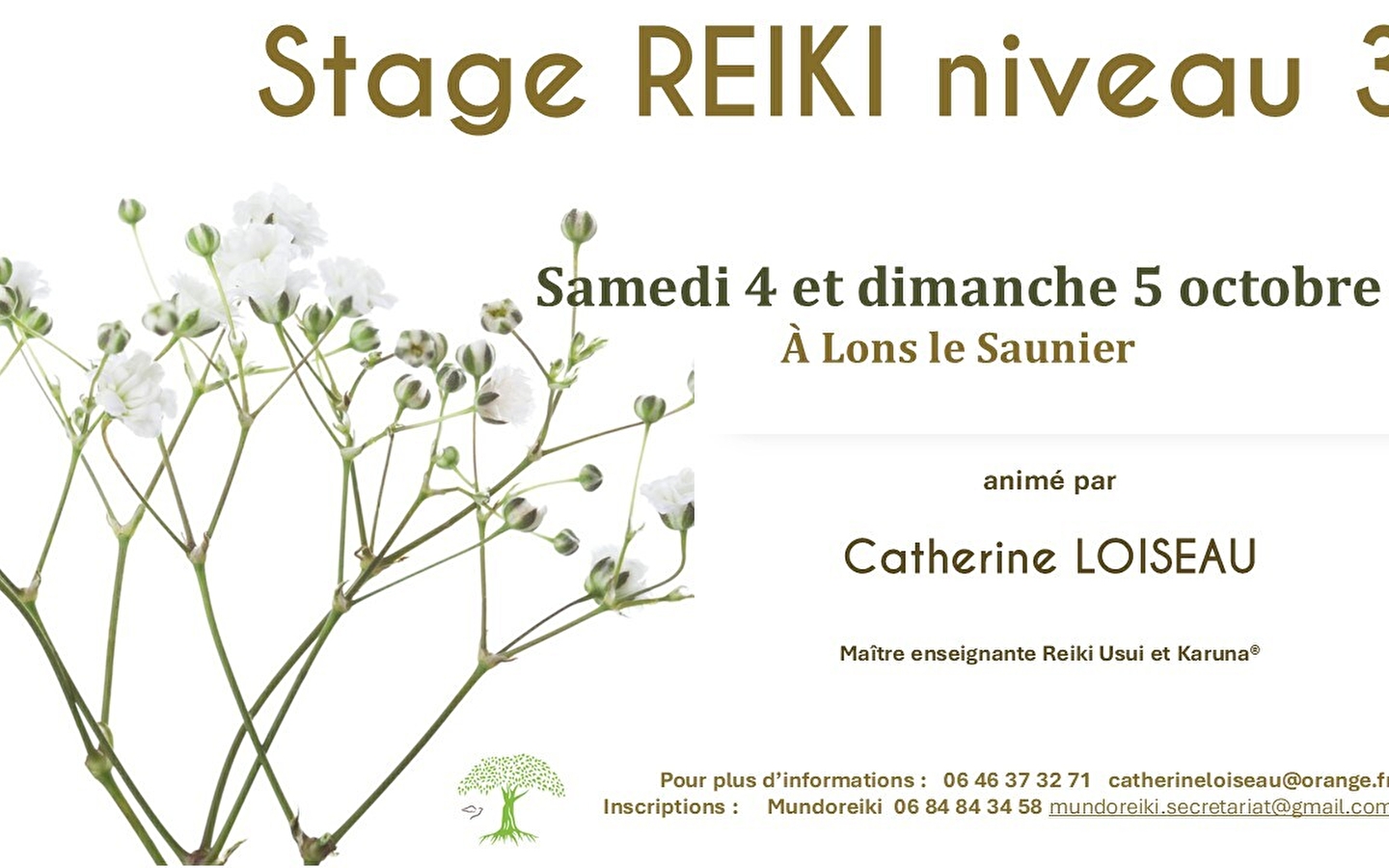 Reiki Usui level 3 course
