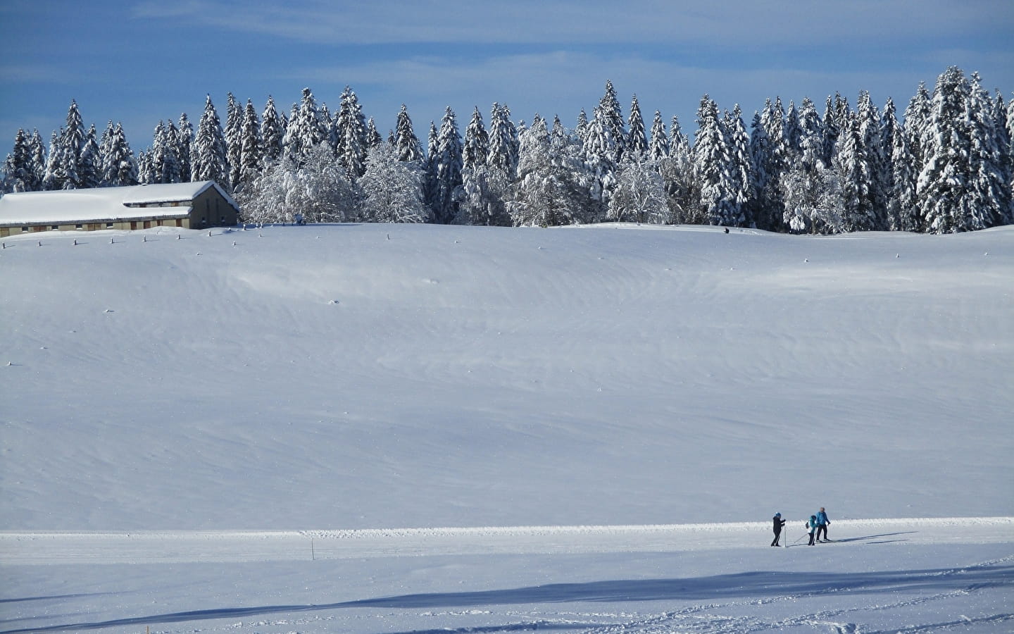 Piste de ski de fond : Le Plateau