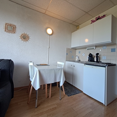 Le Lacuzon - Appartement en résidence - R301THOU00