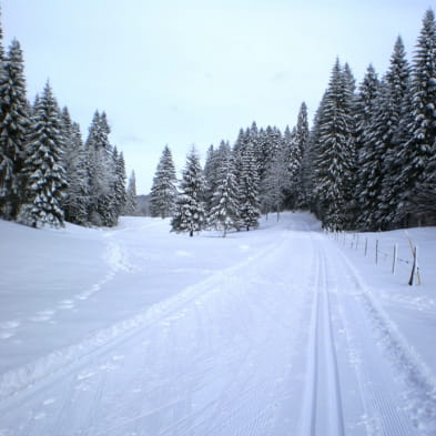 Snowshoeing trails in Saint-Laurent en Grandvaux