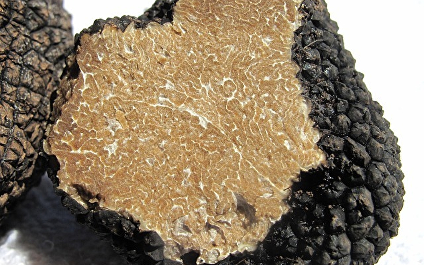 ANNULÉ - Marché aux truffes à Saint Champ