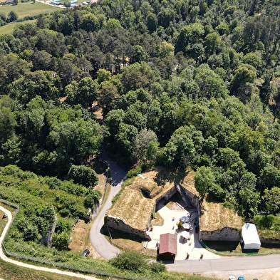 Free visit of Fort Saint-André