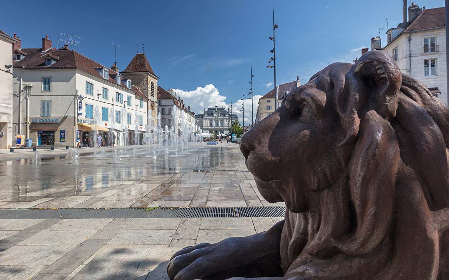 Guided tour of old Lons and the Hôtel-dieu (town hall)