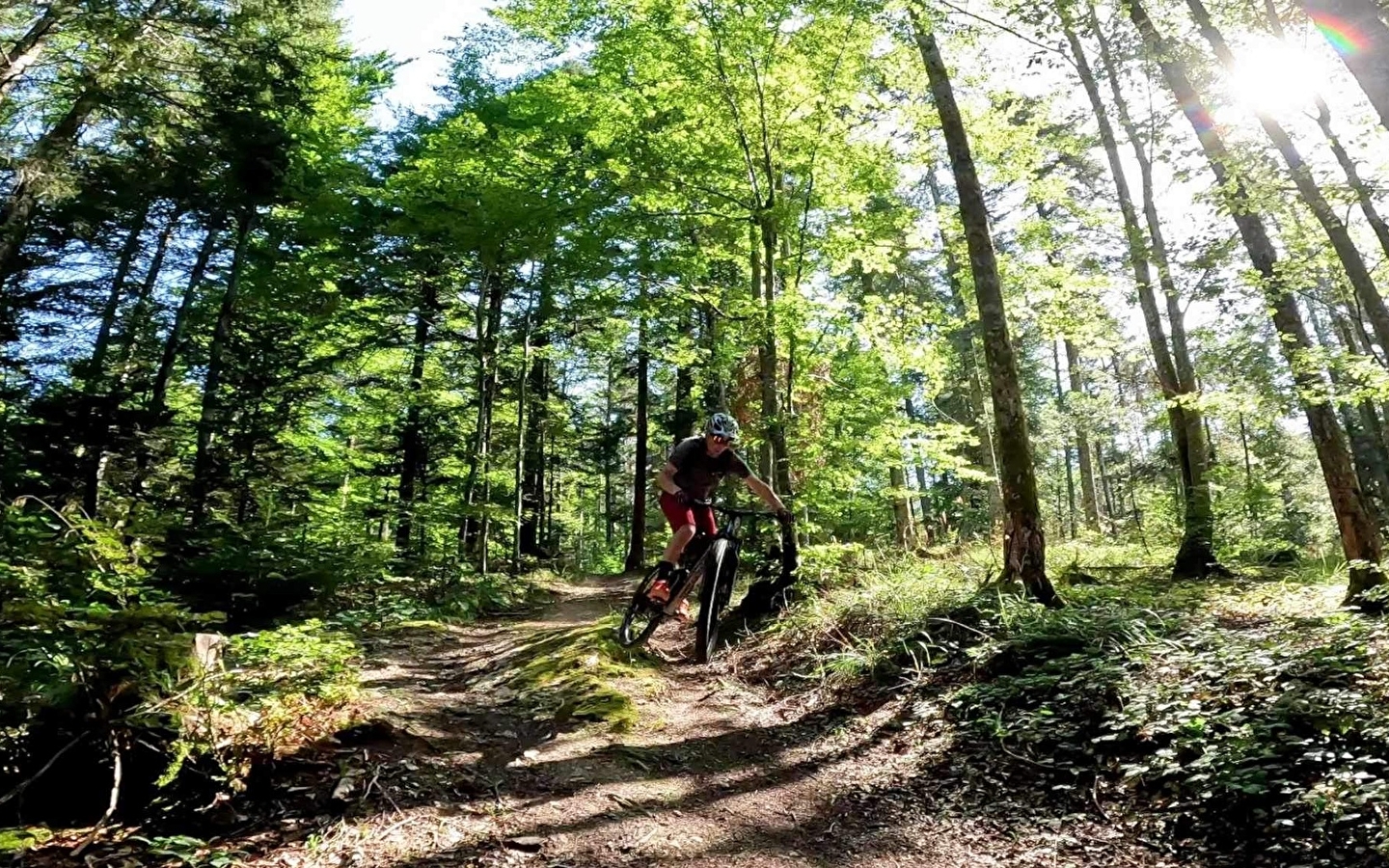Navettes sur le Bike Park