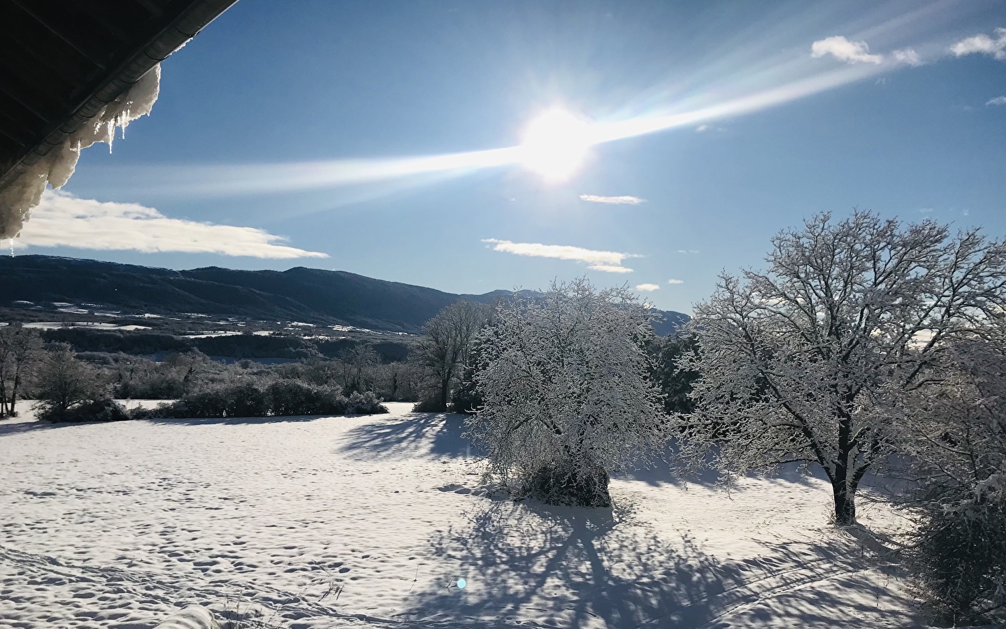 Gîte de l'Ain t'y piques