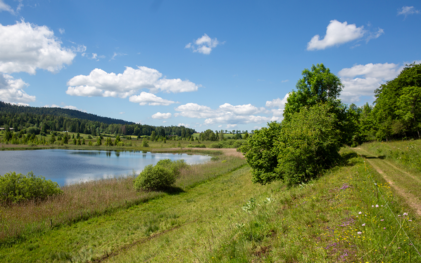 Mountain biking - The Jura Zed in 6 days