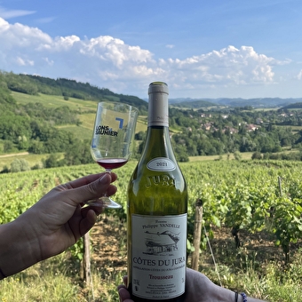Domaine Philippe Vandelle - L'ETOILE