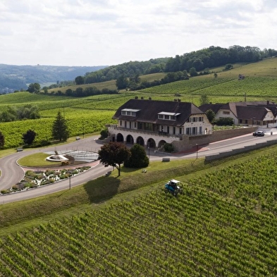 Domaine de la Pinte sweet & wine masterclass