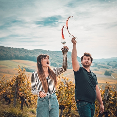 Wine and glass pairings - a journey of flavours