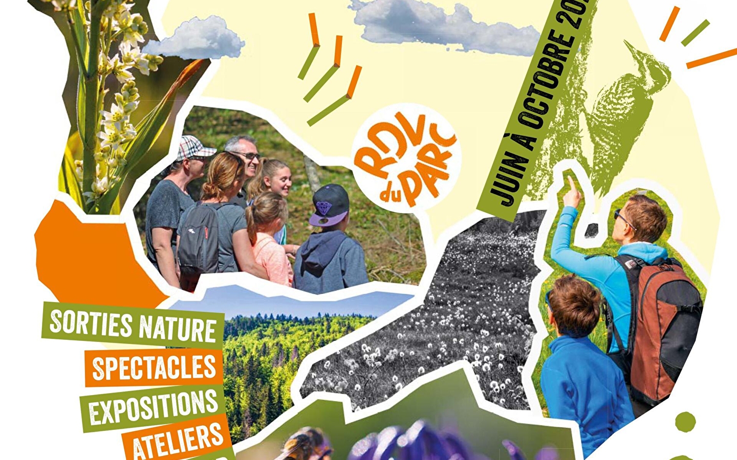 Creative workshop: 'The art of printing nature