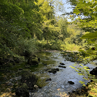 Two springs discovery trail - Val de Cusance