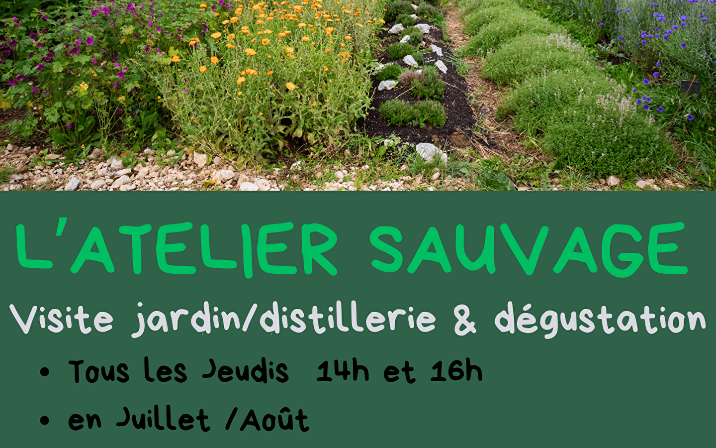 Garden tour/distillery/tasting 