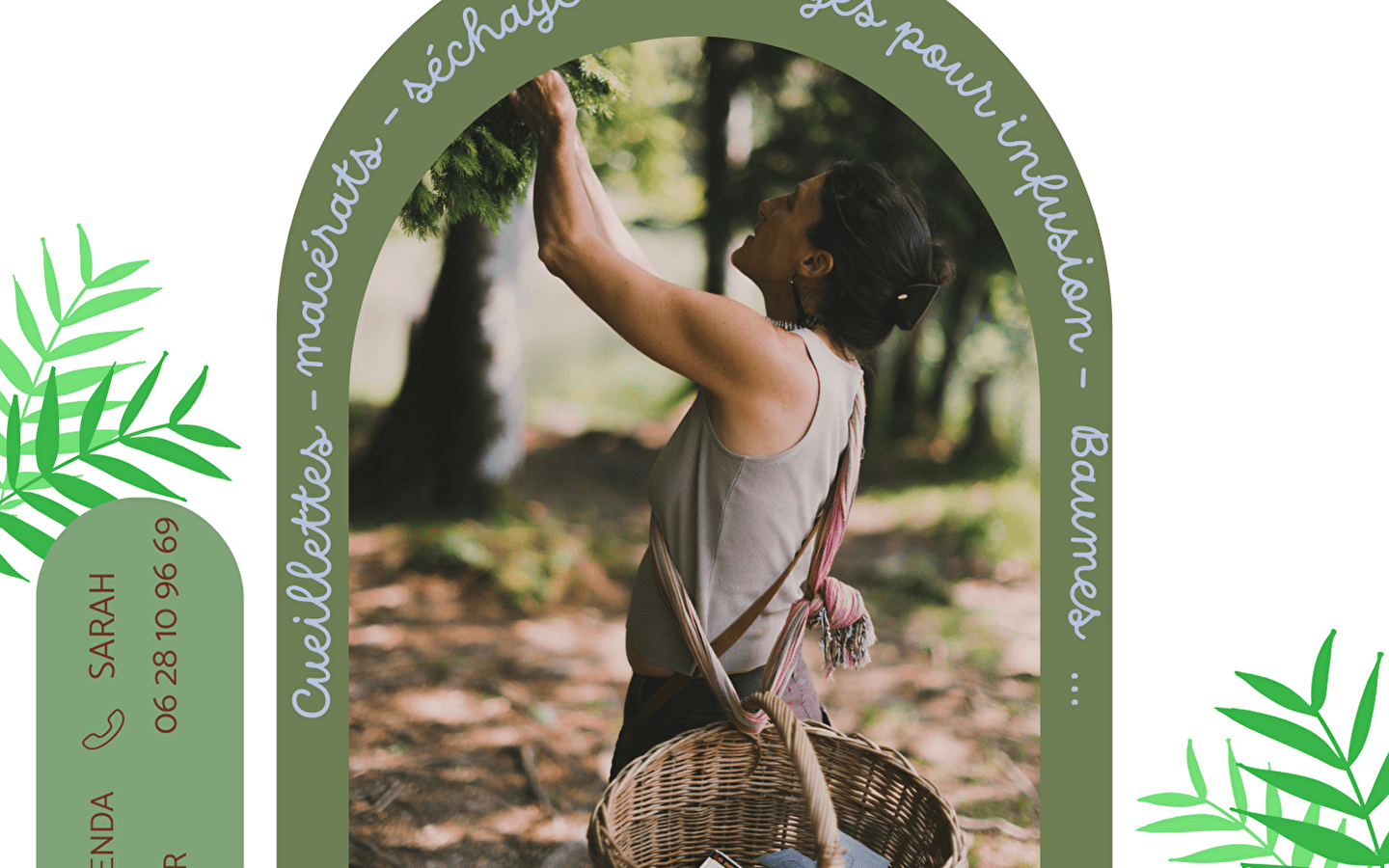 Introduction to medicinal plants: recognition, picking, preparations
