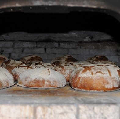Baking bread and brioches - Maison Michaud Ecomuseum