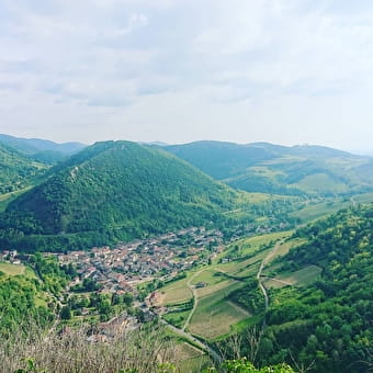 Domaine de l'Eperon - SAINT-ALBAN