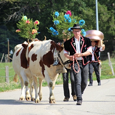 Mont d'Or festival