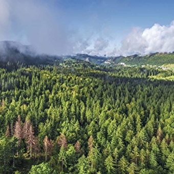 Le tour des savoir-faire - Cycle route 07 - Morez