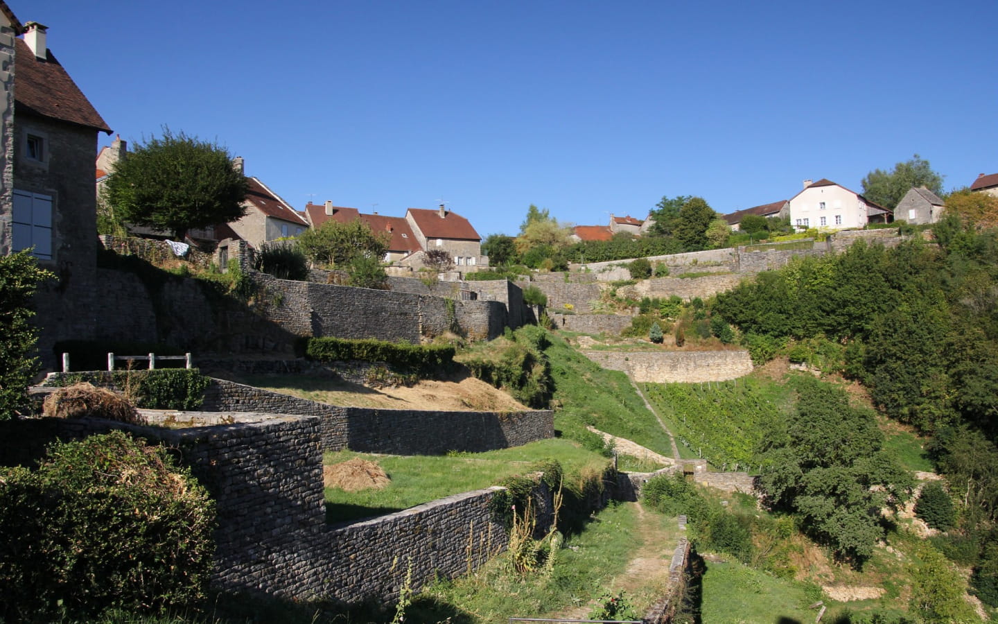 The Château-Chalon vineyard