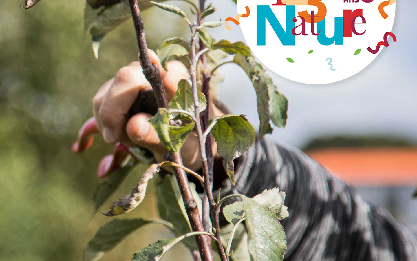 ATELIER ARBORICULTURE 123 NATURE: Restoration pruning in Valentigney