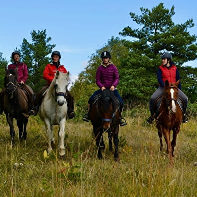 Balade à cheval à la Ferme équestre de Lavant
