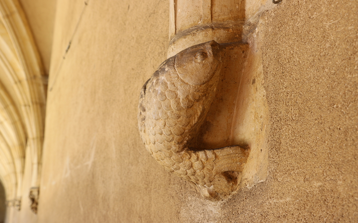 Visite Détails cachés