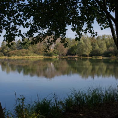 La Sablière de Geneuille - Sensitive natural area