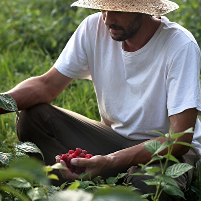 Visit to an organic fruit farm - Le Champ des Gourmands