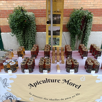 Morel Vincent Apiculteur
