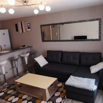 Location saisonniere - la petite maison dole - DOLE