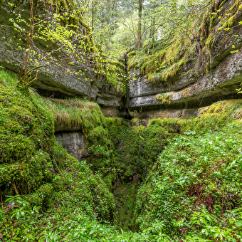 Les Aventures Fankarstiques - O of the woods - FRASNE