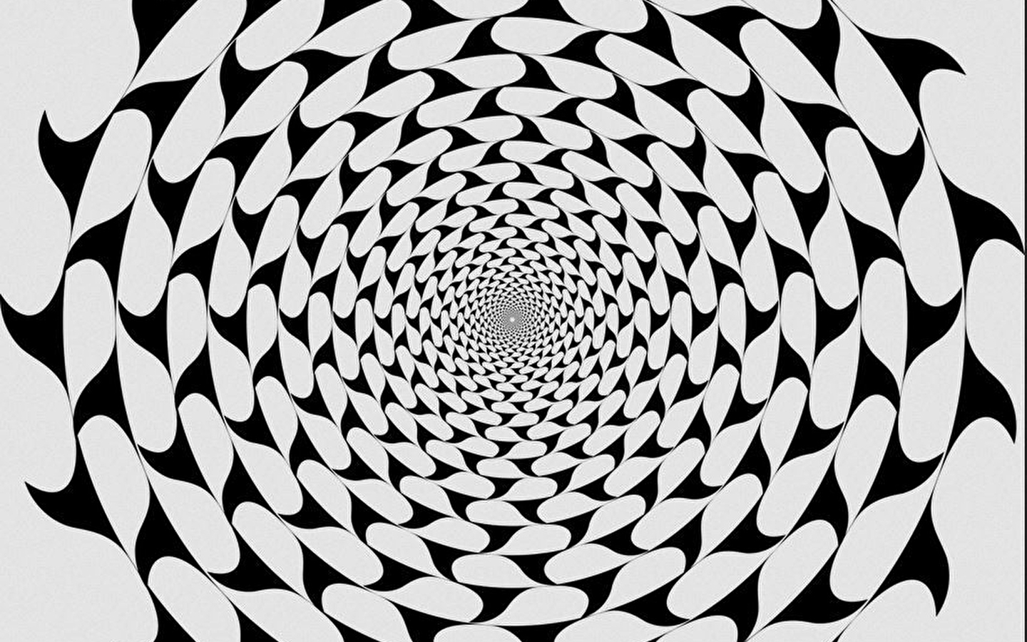 Family workshop - Optical illusions