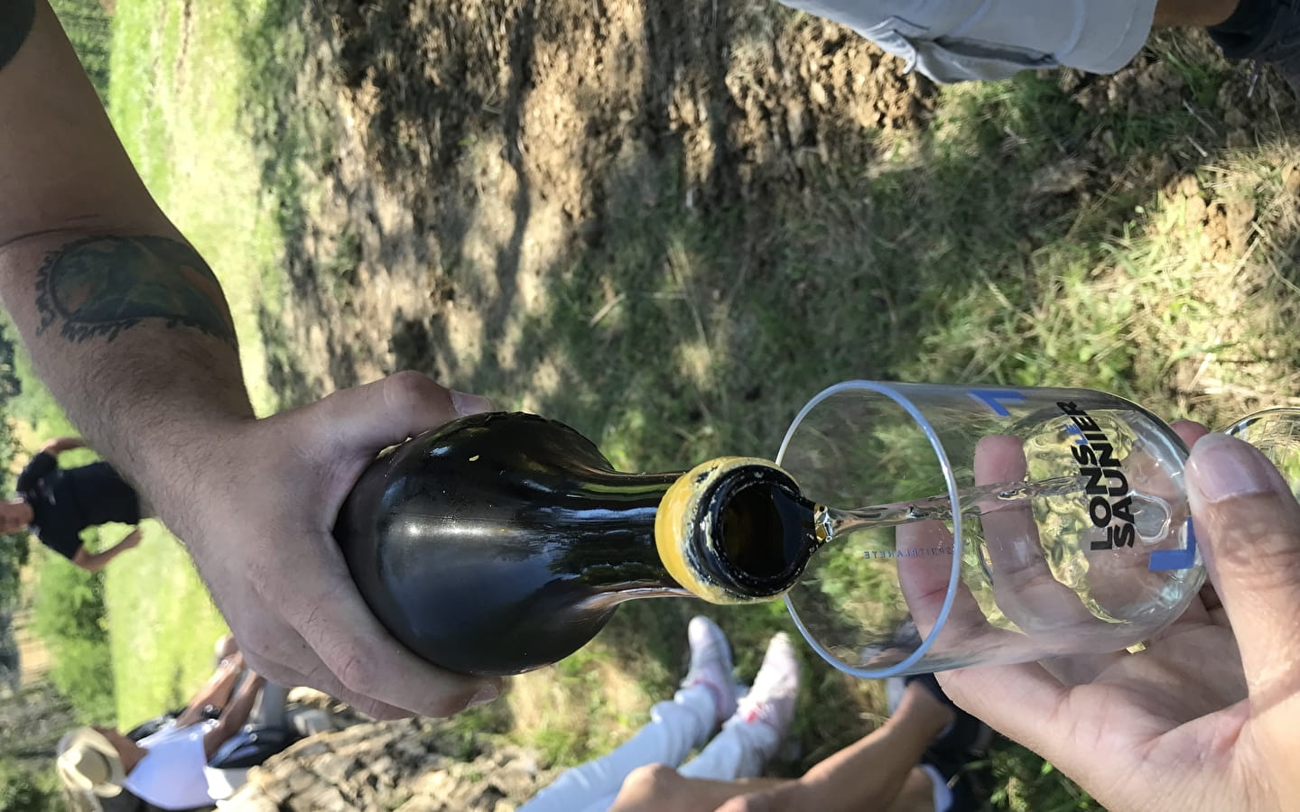 Tasting tour of the Montaigu vineyards